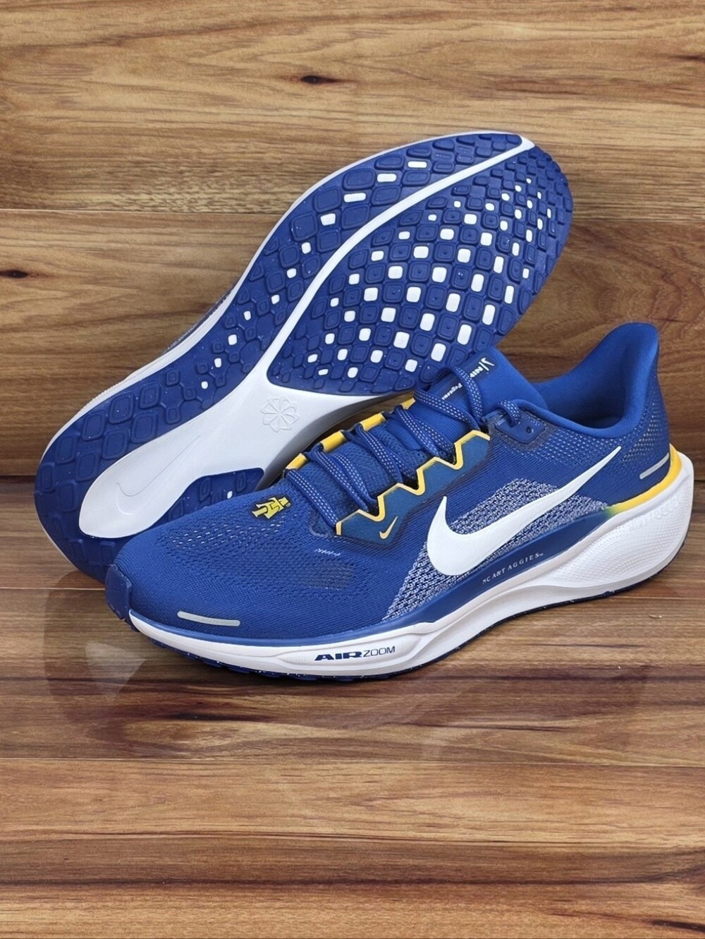 Nike Air Zoom Pegasus 41 North Carolina A&T Aggies Men’s Size 13 (FZ5132-400)